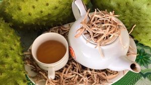 Trà Mãng Cầu Long Giang thơm ngon phù hợp sử dụng hằng ngày